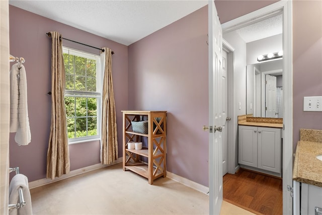 318 Weeping Willow Dr, Seneca, SC 29672 - bathroom featuring vanity and a textured ceiling