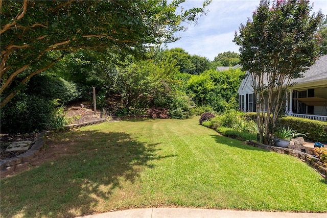318 Weeping Willow Dr, Seneca, SC 29672 - view of grassy yard