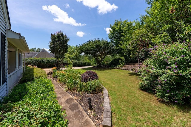 318 Weeping Willow Dr, Seneca, SC 29672 - view of green lawn