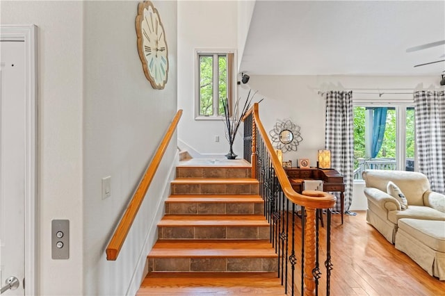 320 Holly Ln, Walhalla, SC 29691 - photo 23