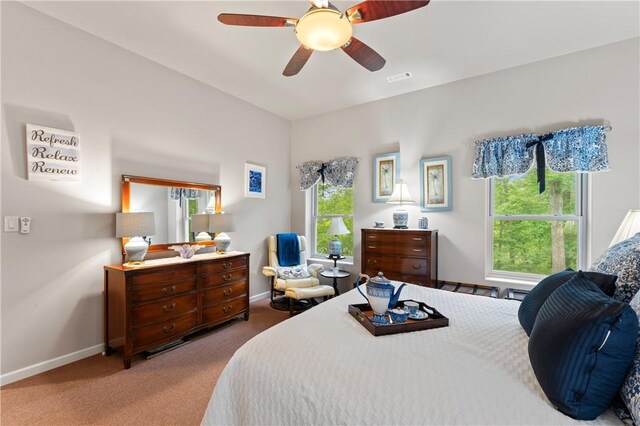 320 Holly Ln, Walhalla, SC 29691 - photo 42