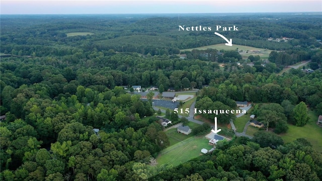 515 Issaqueena Trl, Clemson, SC 29631 - photo 11