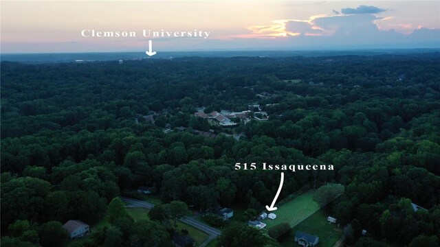 515 Issaqueena Trl, Clemson, SC 29631 - photo 13