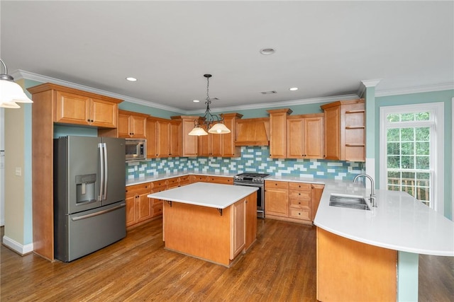 124 Bluestone Ct, Easley, SC 29642 - kitchen featuring appliances with stainless steel finishes, custom range hood, a peninsula, light countertops, and crown molding