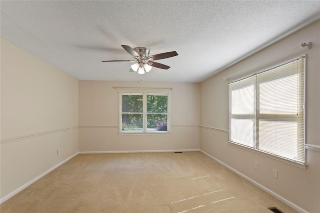 221 Whitmire Church Rd, Tamassee, SC 29686 - photo 23