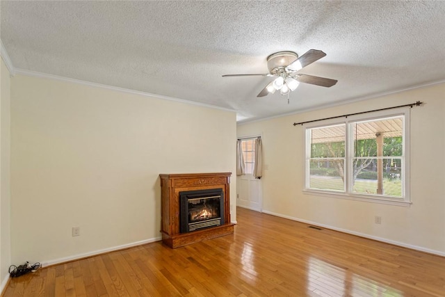 221 Whitmire Church Rd, Tamassee, SC 29686 - photo 10