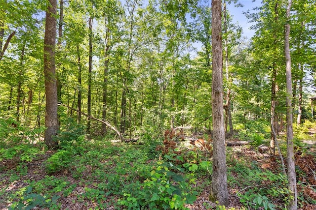 221 Whitmire Church Rd, Tamassee, SC 29686 - photo 39