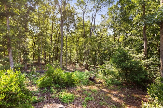 221 Whitmire Church Rd, Tamassee, SC 29686 - photo 40