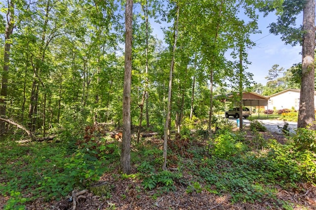 221 Whitmire Church Rd, Tamassee, SC 29686 - photo 41