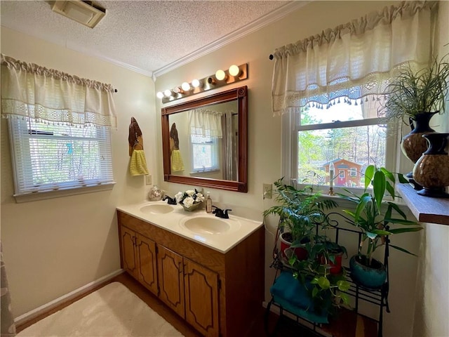221 Whitmire Church Rd, Tamassee, SC 29686 - photo 24