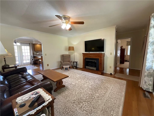 221 Whitmire Church Rd, Tamassee, SC 29686 - photo 6