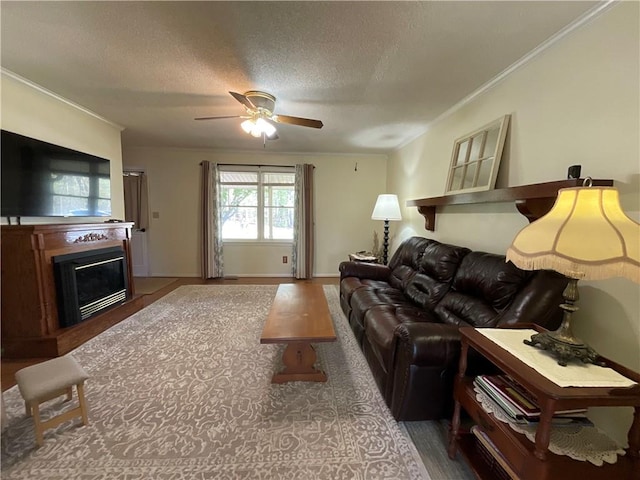 221 Whitmire Church Rd, Tamassee, SC 29686 - photo 7