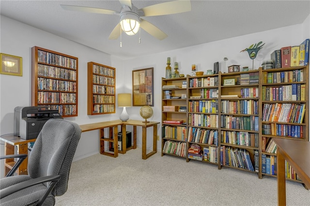 123 Church View Ct, Pickens, SC 29671 - photo 23