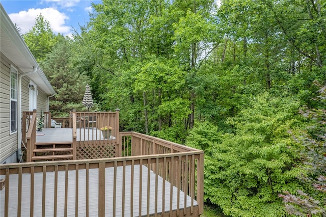 123 Church View Ct, Pickens, SC 29671 - photo 27