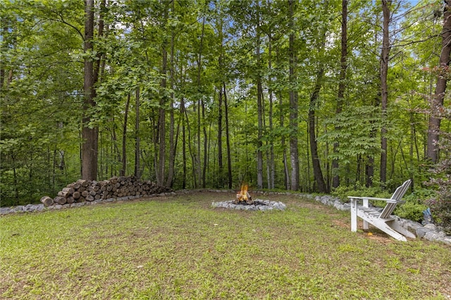 123 Church View Ct, Pickens, SC 29671 - photo 30