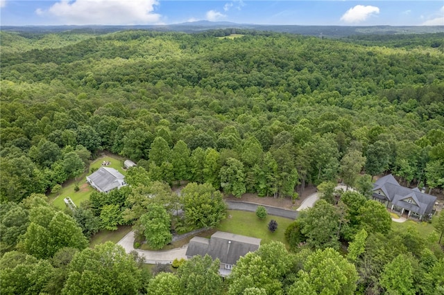 123 Church View Ct, Pickens, SC 29671 - photo 33