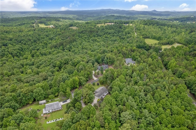 123 Church View Ct, Pickens, SC 29671 - photo 35