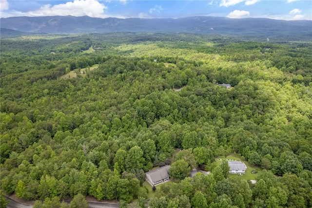 123 Church View Ct, Pickens, SC 29671 - photo 36