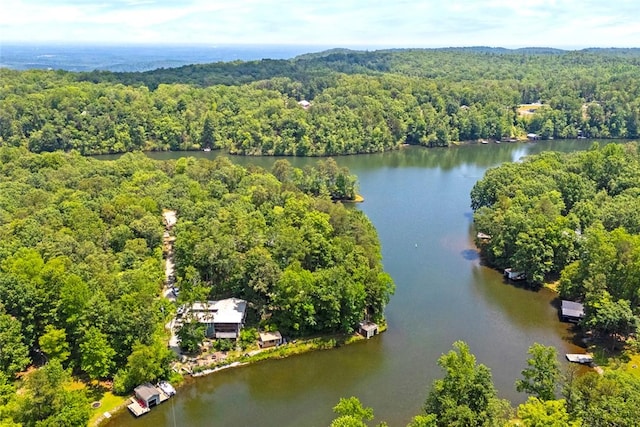 275 Lakeside Dr, Mountain Rest, SC 29664 - drone / aerial view of a heavily wooded area and a nearby body of water