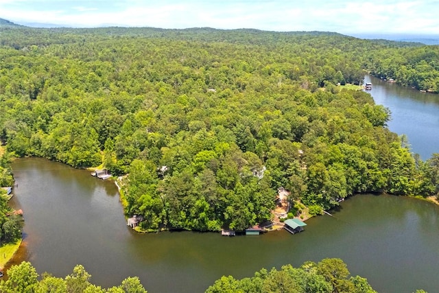 275 Lakeside Dr, Mountain Rest, SC 29664 - aerial view of a heavily wooded area and a nearby body of water