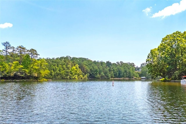 275 Lakeside Dr, Mountain Rest, SC 29664 - water view with a forest