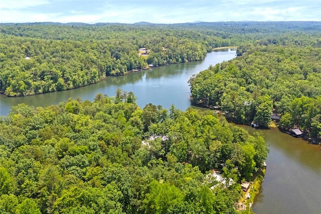 275 Lakeside Dr, Mountain Rest, SC 29664 - drone / aerial view of a heavily wooded area and a nearby body of water