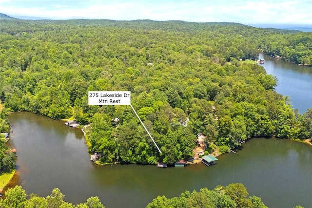 275 Lakeside Dr, Mountain Rest, SC 29664 - aerial view of property and surrounding area with a nearby body of water and property parcel outlined