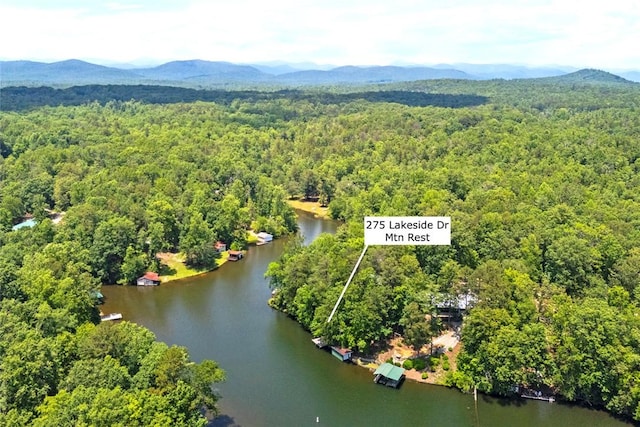 275 Lakeside Dr, Mountain Rest, SC 29664 - bird's eye view of a forest and a water and mountain view