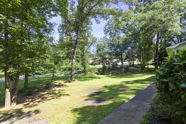 118 Nonna Ln, Seneca, SC 29678 - view of green lawn