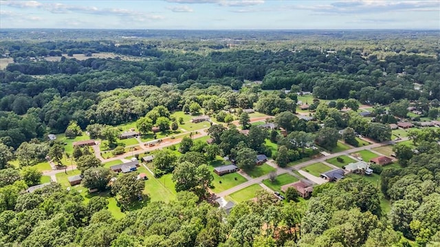 1205 Ramona Dr, Belton, SC 29627 - drone / aerial view of a heavily wooded area