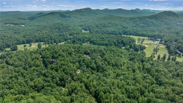 209 Falcon Crest Way, Pickens, SC 29671 - bird's eye view of a mountain backdrop