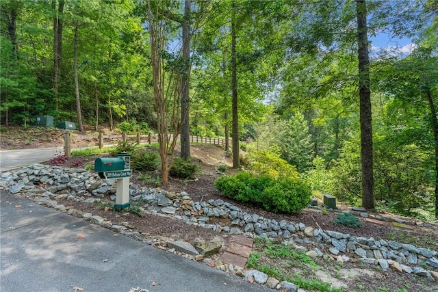 209 Falcon Crest Way, Pickens, SC 29671 - view of yard with a forest view