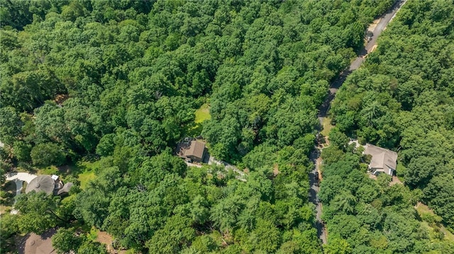 209 Falcon Crest Way, Pickens, SC 29671 - photo 34