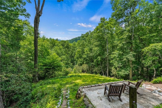 209 Falcon Crest Way, Pickens, SC 29671 - photo 24