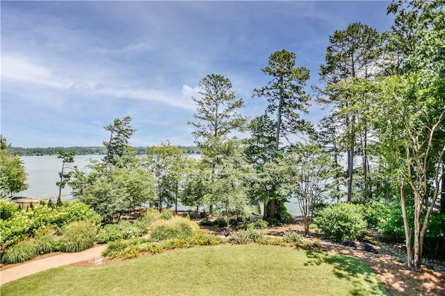 124 Pineridge Pointe Dr, Seneca, SC 29672 - view of property's community featuring a water view