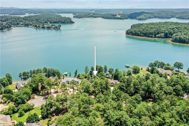 124 Pineridge Pointe Dr, Seneca, SC 29672 - drone / aerial view of a large body of water and a forest