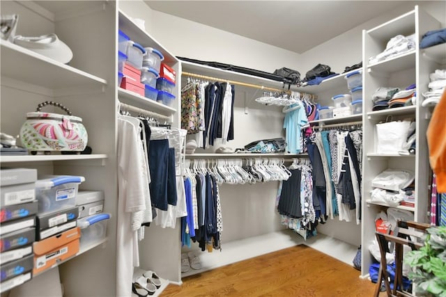 124 Pineridge Pointe Dr, Seneca, SC 29672 - spacious closet featuring wood finished floors