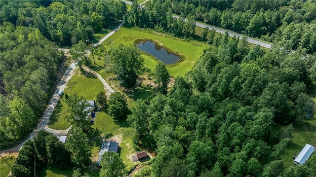 137 Bearcat Trl, Sunset, SC 29685 - photo 50