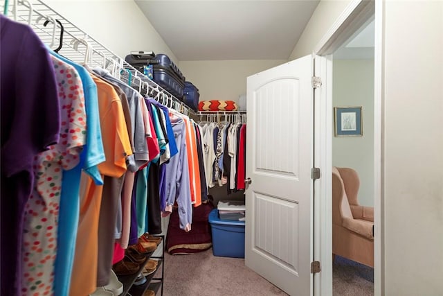 311 Buchanan Trl, Seneca, SC 29678 - walk in closet with carpet flooring