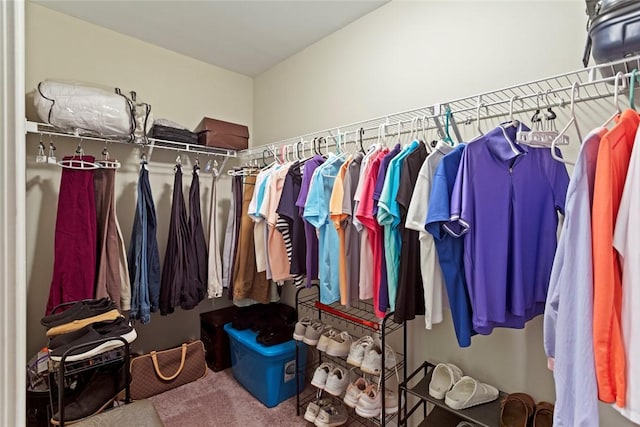 311 Buchanan Trl, Seneca, SC 29678 - walk in closet with carpet floors