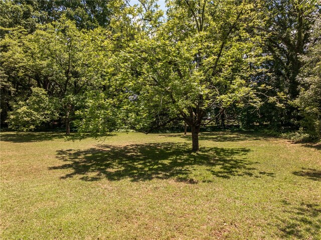 114 York St, Clinton, SC 29325 - photo 44