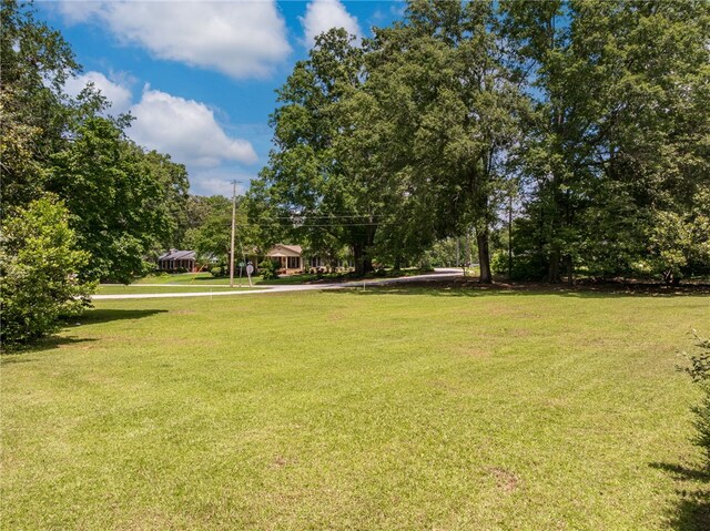 114 York St, Clinton, SC 29325 - photo 5