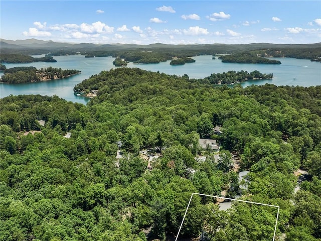 7 Drifter Ln, Salem, SC 29676 - view of property location with a water and mountain view and property parcel outlined