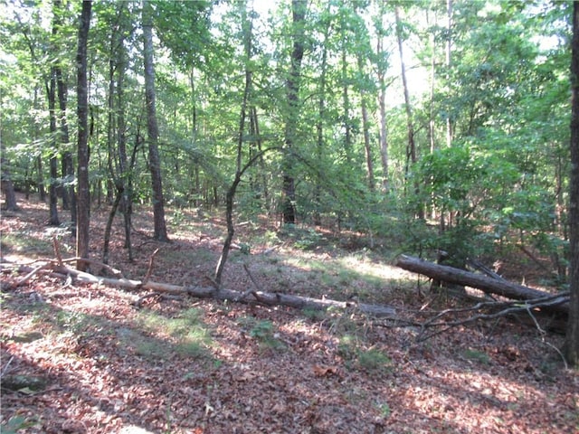 00 Murphy Rd, Sunset, SC 29685 - photo 1