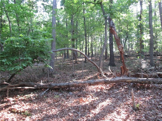 00 Murphy Rd, Sunset, SC 29685 - photo 3