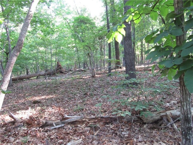 00 Murphy Rd, Sunset, SC 29685 - photo 5