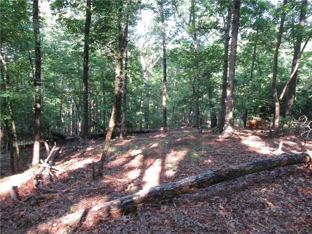 00 Murphy Rd, Sunset, SC 29685 - photo 6