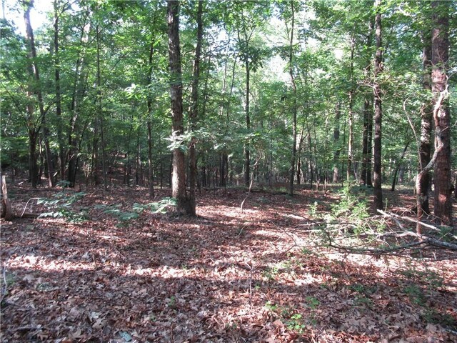 00 Murphy Rd, Sunset, SC 29685 - photo 7