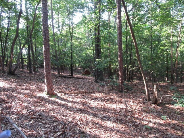 00 Murphy Rd, Sunset, SC 29685 - photo 8