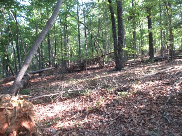 00 Murphy Rd, Sunset, SC 29685 - photo 9